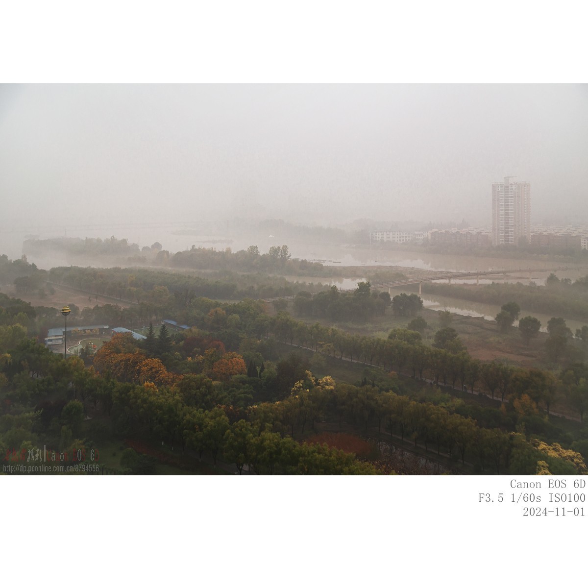 晨雾（11月1日）