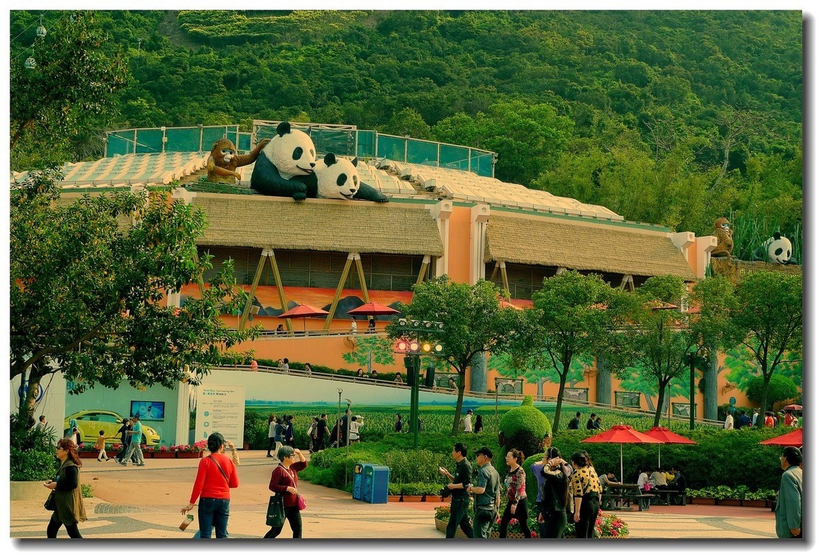 小DC陪我游香港：海洋公园（5）