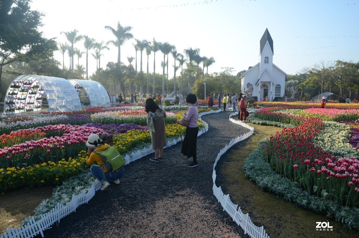 美丽的厦门郊外早晨风光摄影--231