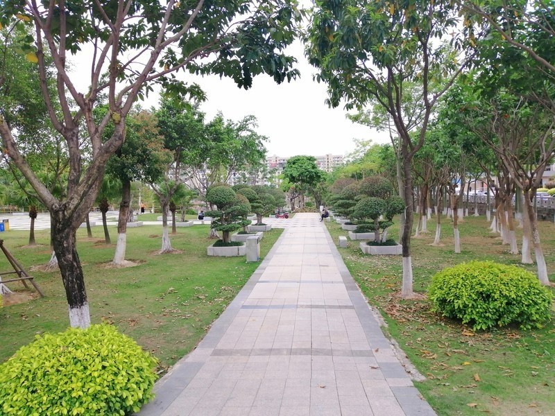 美丽的厦门郊外早晨风光摄影--231