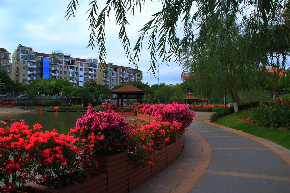 美丽的厦门郊外早晨风光摄影--231