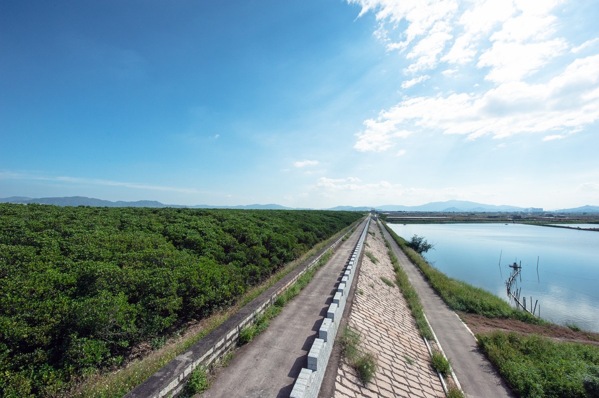 漳州市龙海区紫泥镇甘文农场