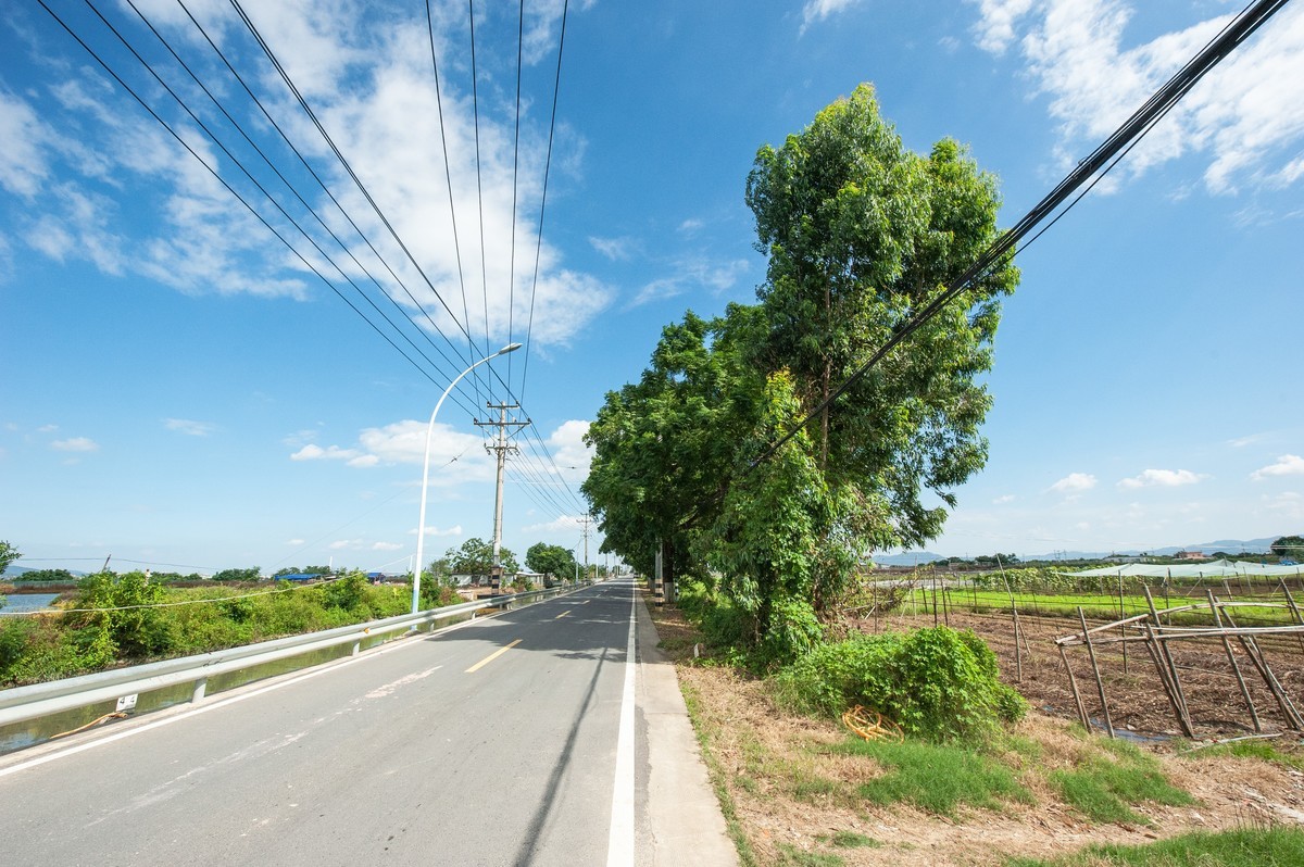 漳州市龙海区紫泥镇甘文农场