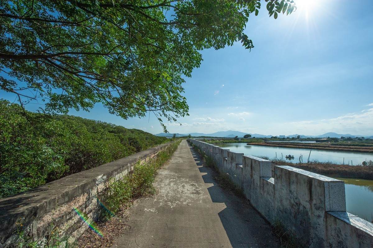漳州市龙海区紫泥镇甘文农场