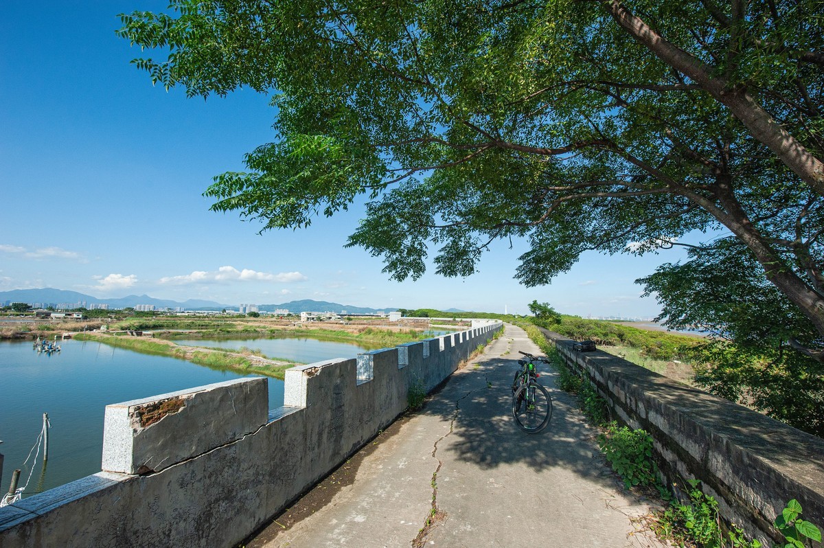 漳州市龙海区紫泥镇甘文农场