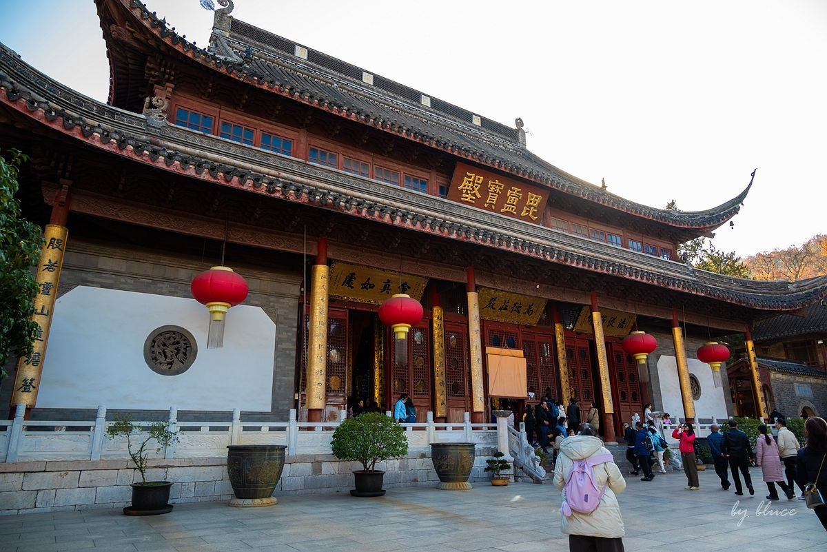 栖霞红枫盛（五）