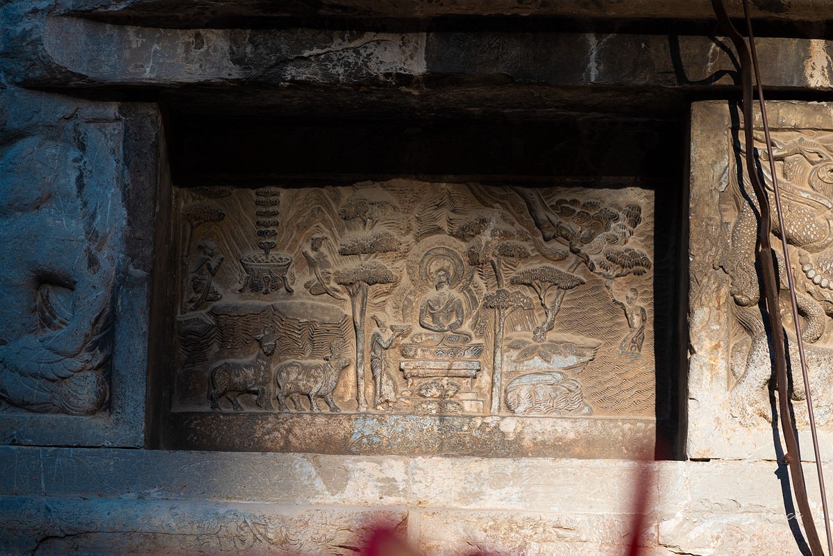 栖霞红枫盛（五）