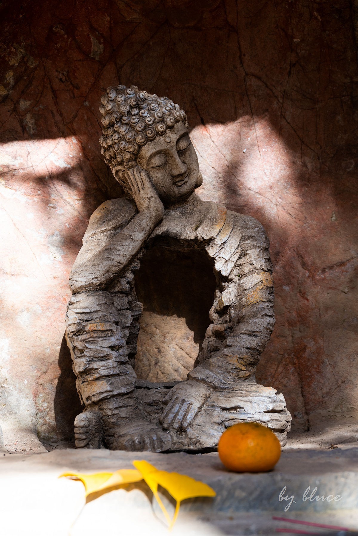 栖霞红枫盛（五）