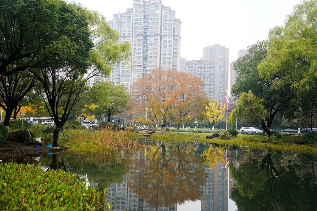 无锡新城中央公园秋色