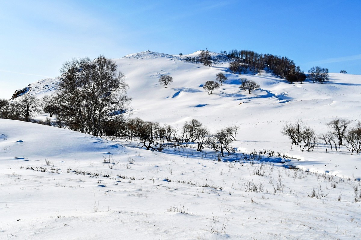 春节乌兰布统塞罕坝之行 及路上所见（十六）
