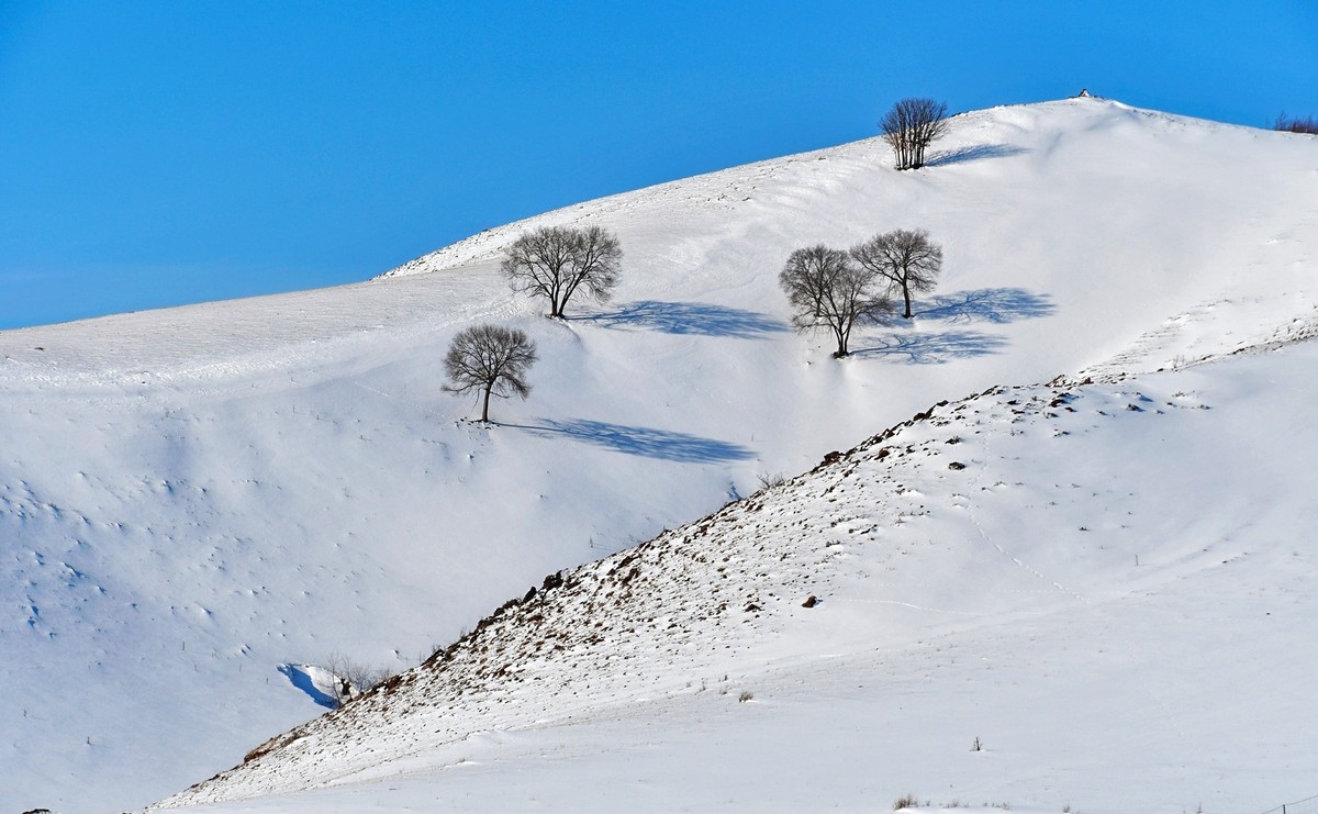 春节乌兰布统塞罕坝之行 及路上所见（十六）