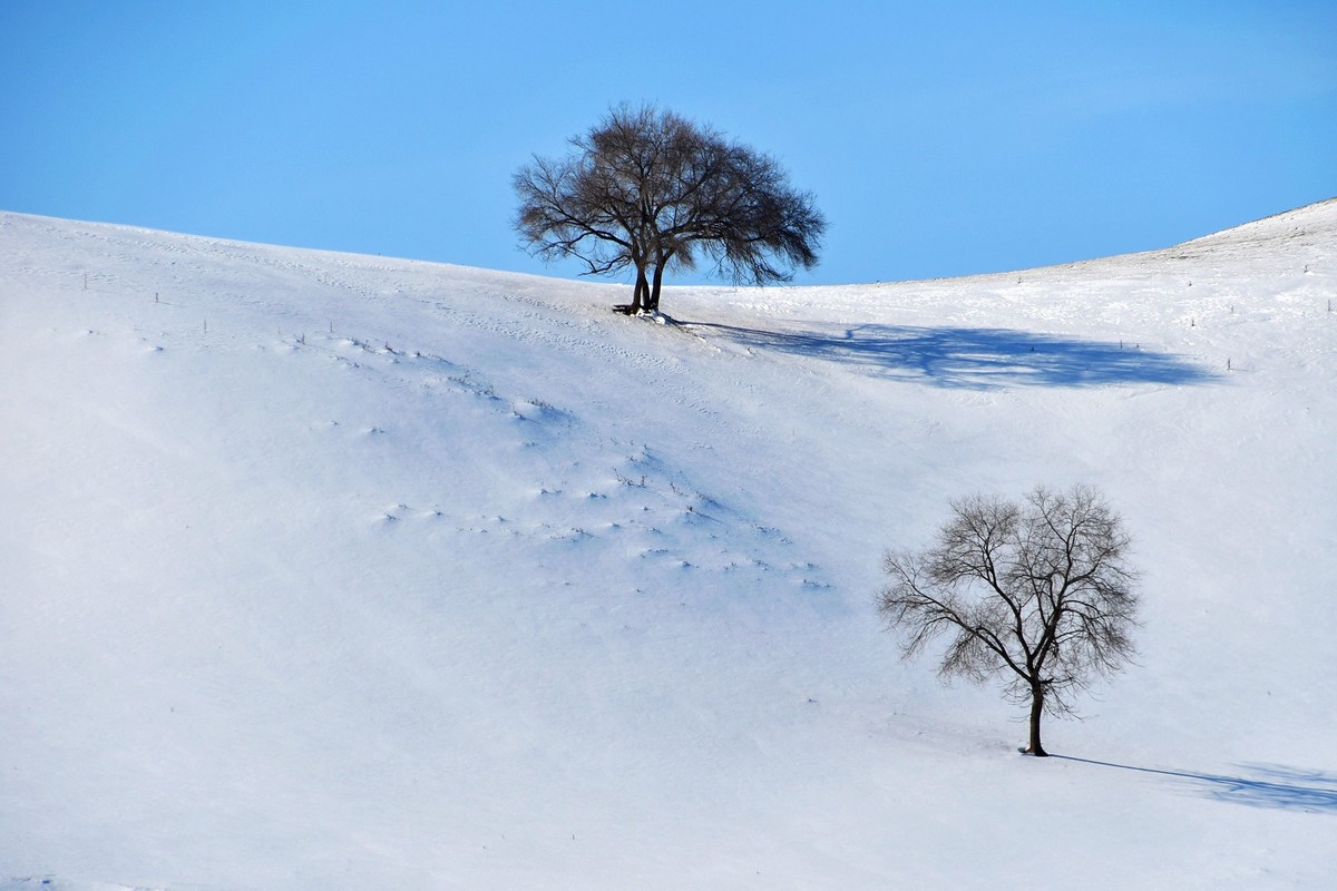 春节乌兰布统塞罕坝之行 及路上所见（十六）