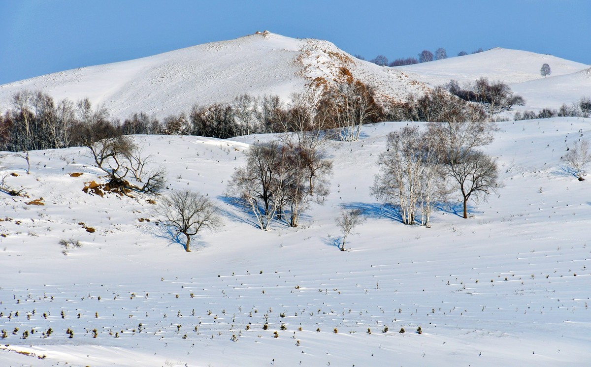 春节乌兰布统塞罕坝之行 及路上所见（十六）