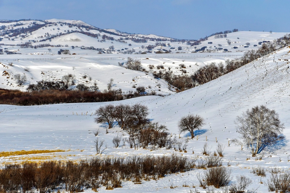 春节乌兰布统塞罕坝之行 及路上所见（十六）