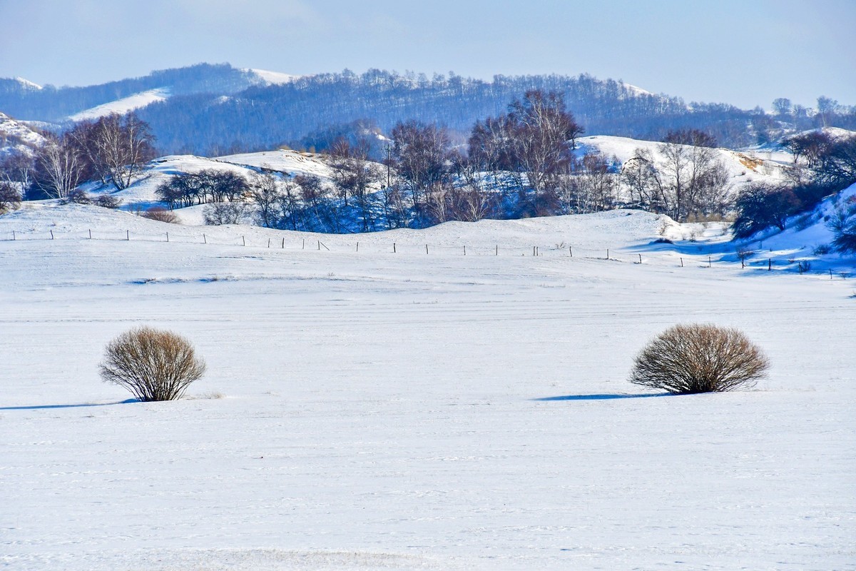 春节乌兰布统塞罕坝之行 及路上所见（十六）