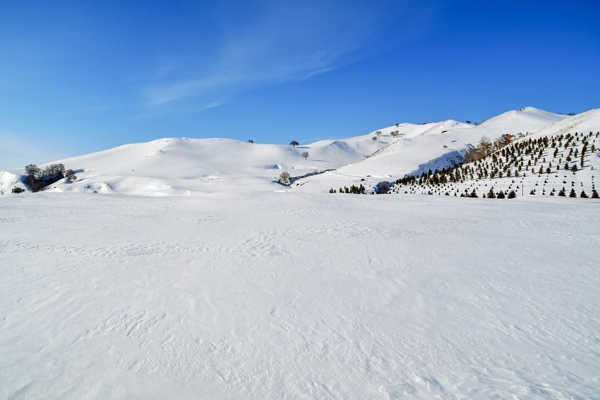 春节乌兰布统塞罕坝之行 及路上所见（十六）