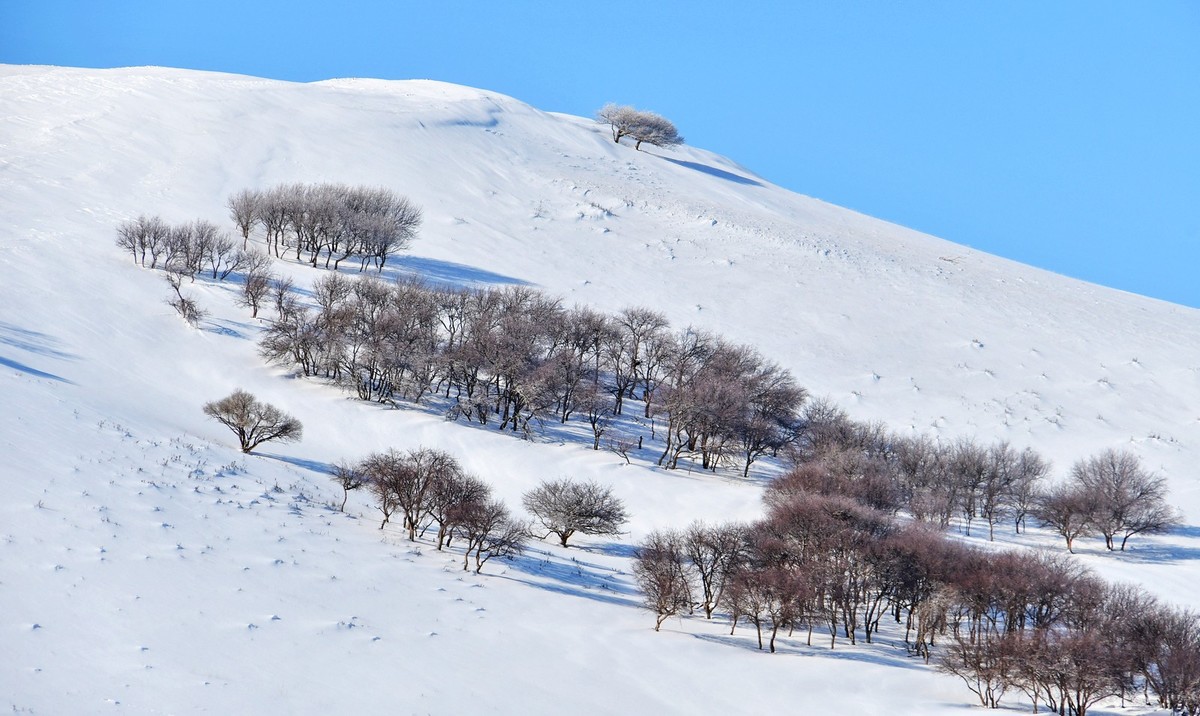 春节乌兰布统塞罕坝之行 及路上所见（十六）