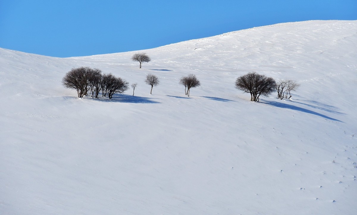春节乌兰布统塞罕坝之行 及路上所见（十六）