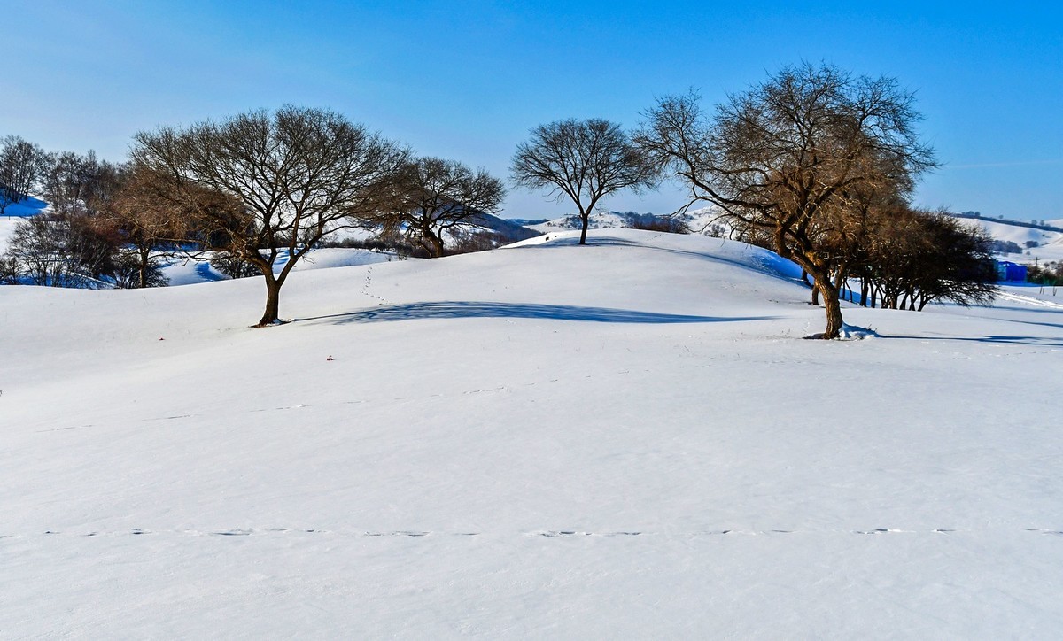 春节乌兰布统塞罕坝之行 及路上所见（十六）