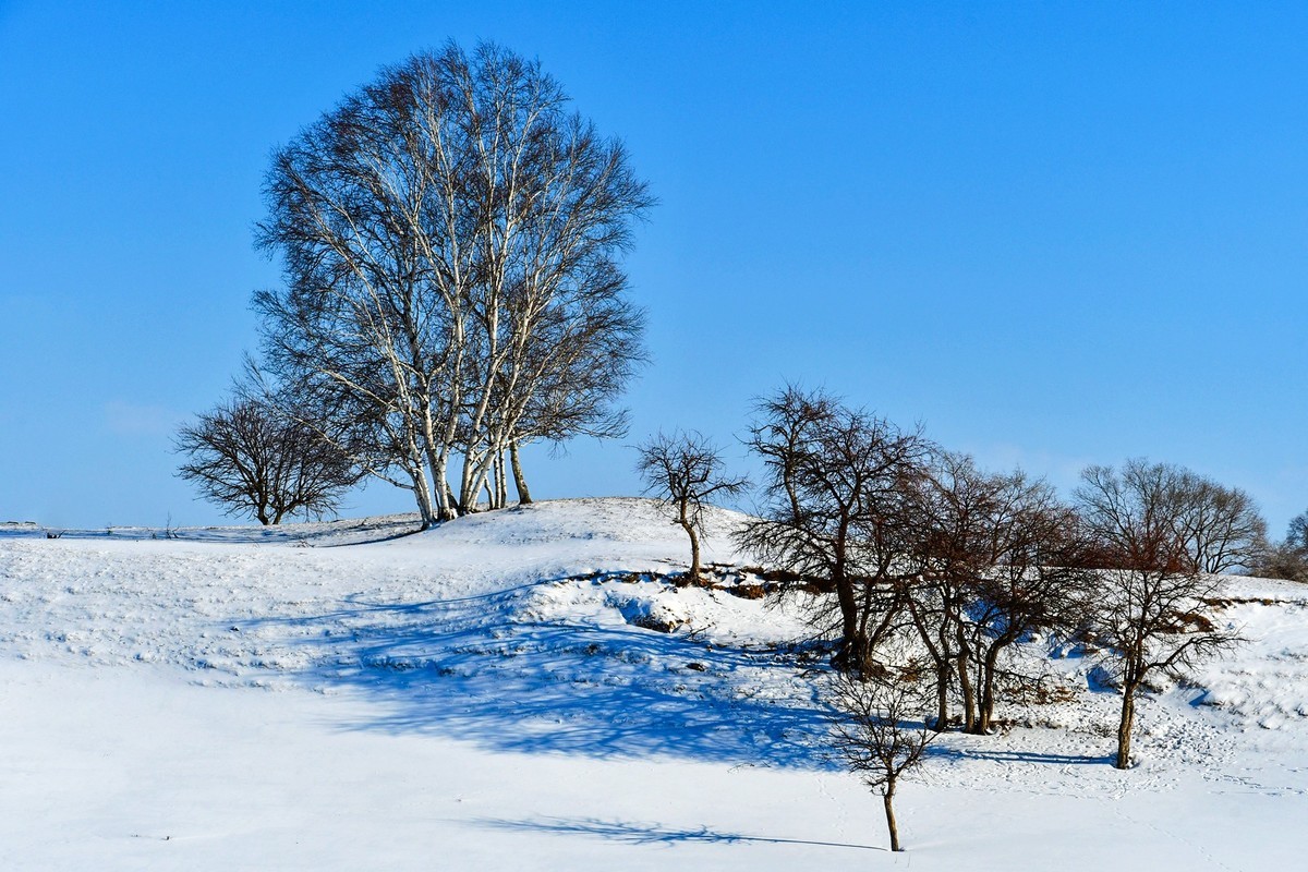 春节乌兰布统塞罕坝之行 及路上所见（十六）