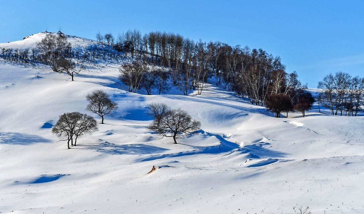 春节乌兰布统塞罕坝之行 及路上所见（十六）