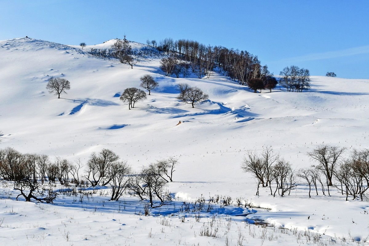 春节乌兰布统塞罕坝之行 及路上所见（十六）