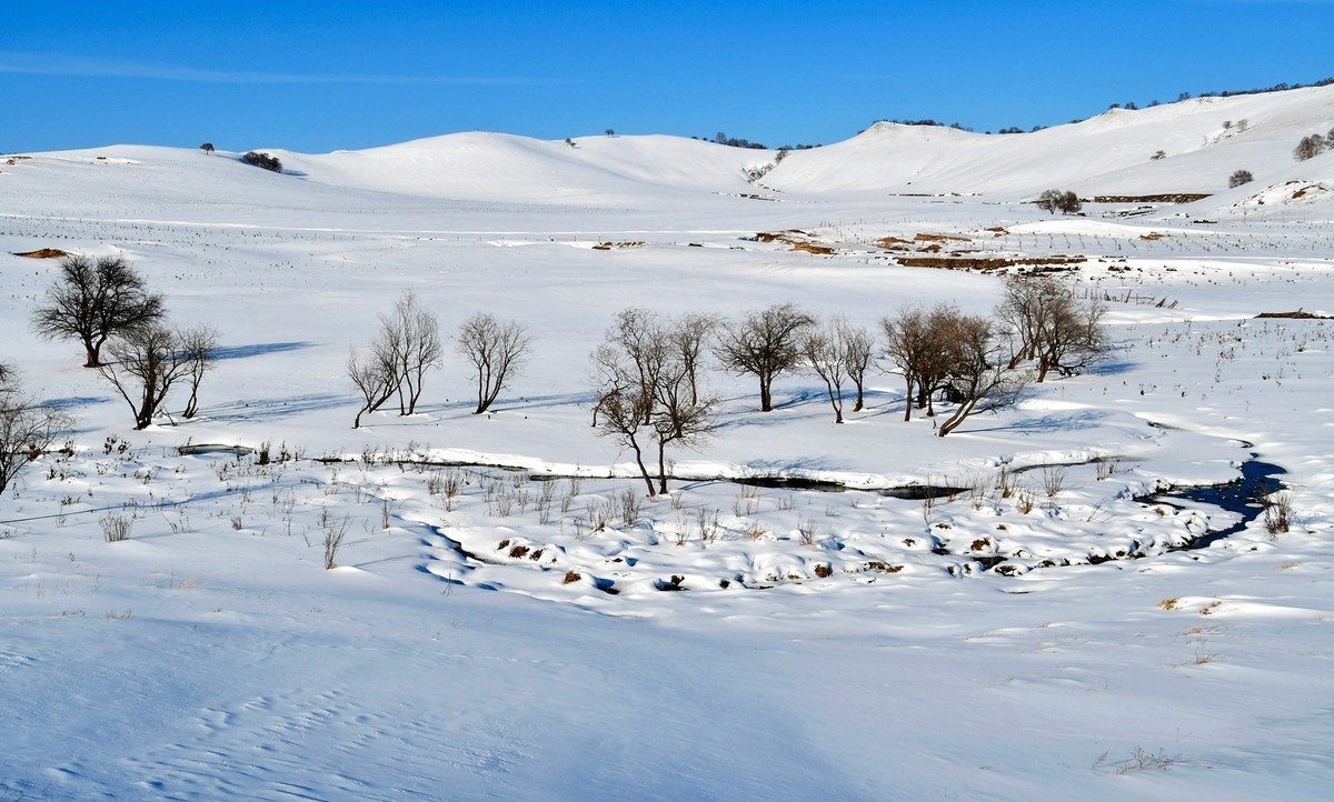 春节乌兰布统塞罕坝之行 及路上所见（十六）