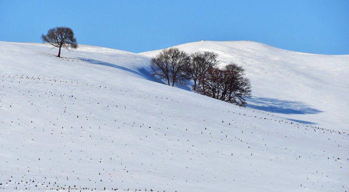 春节乌兰布统塞罕坝之行 及路上所见（十六）