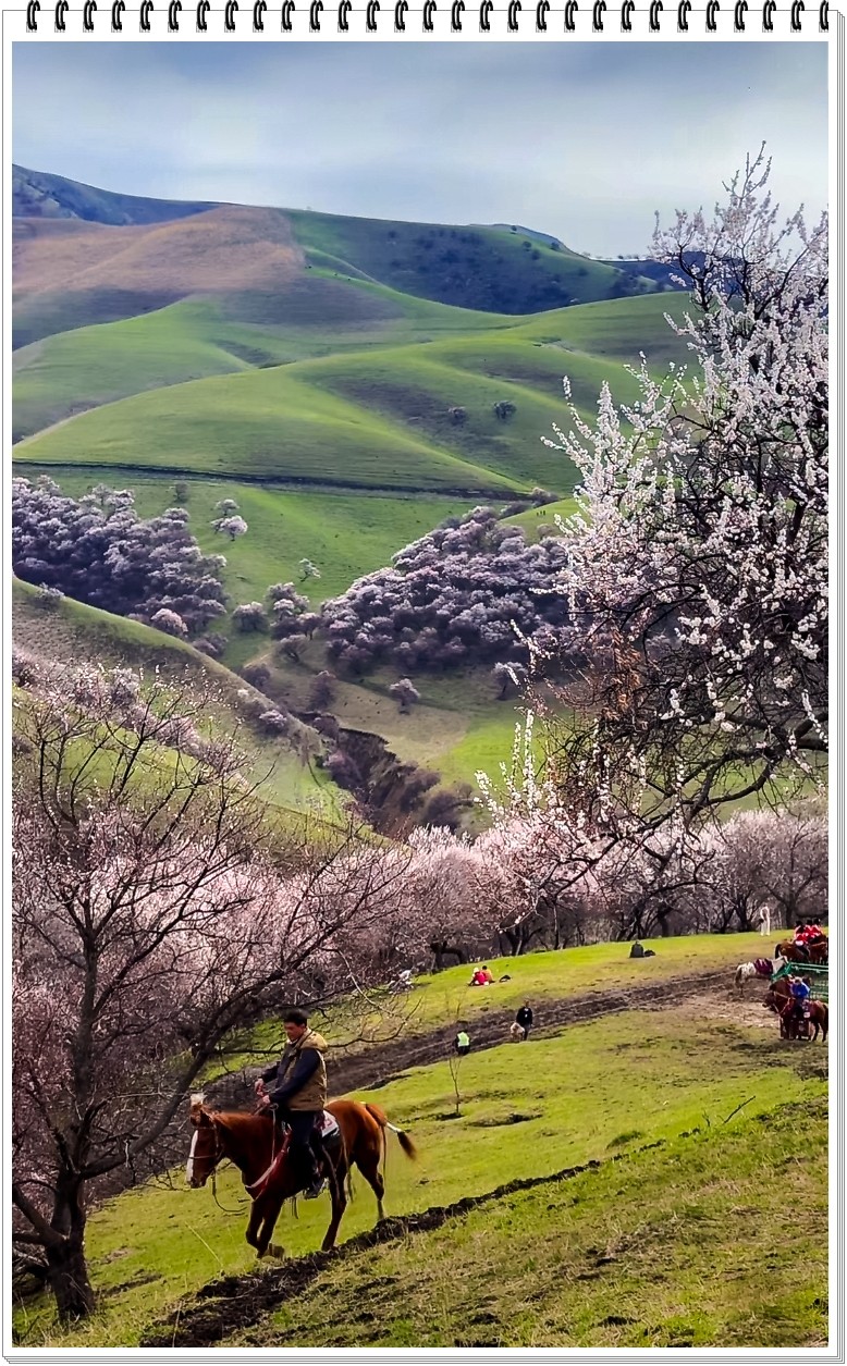 2025年- 新疆风光纪实抓拍-0317