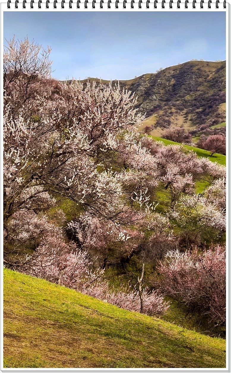 2025年- 新疆风光纪实抓拍-0317