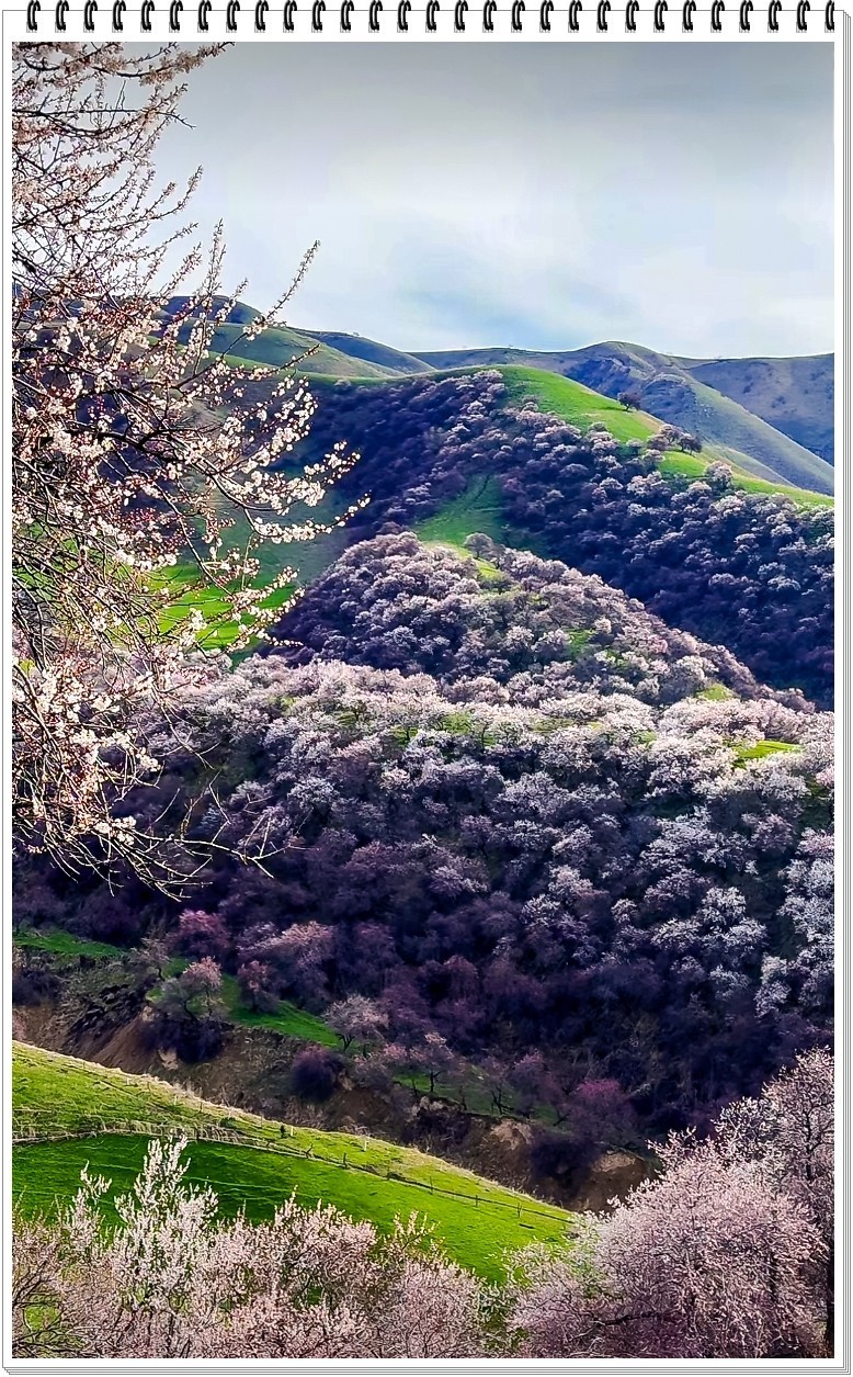 2025年- 新疆风光纪实抓拍-0317