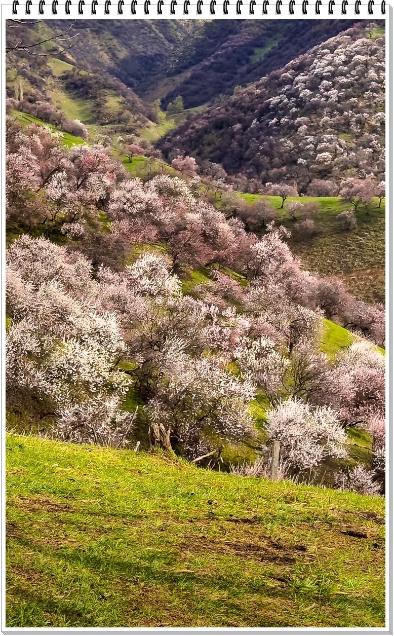 2025年- 新疆风光纪实抓拍-0317