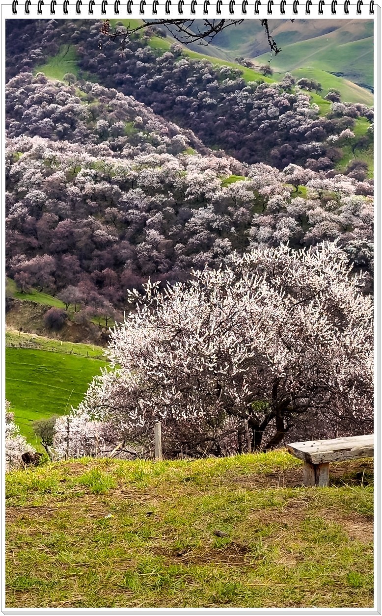 2025年- 新疆风光纪实抓拍-0317