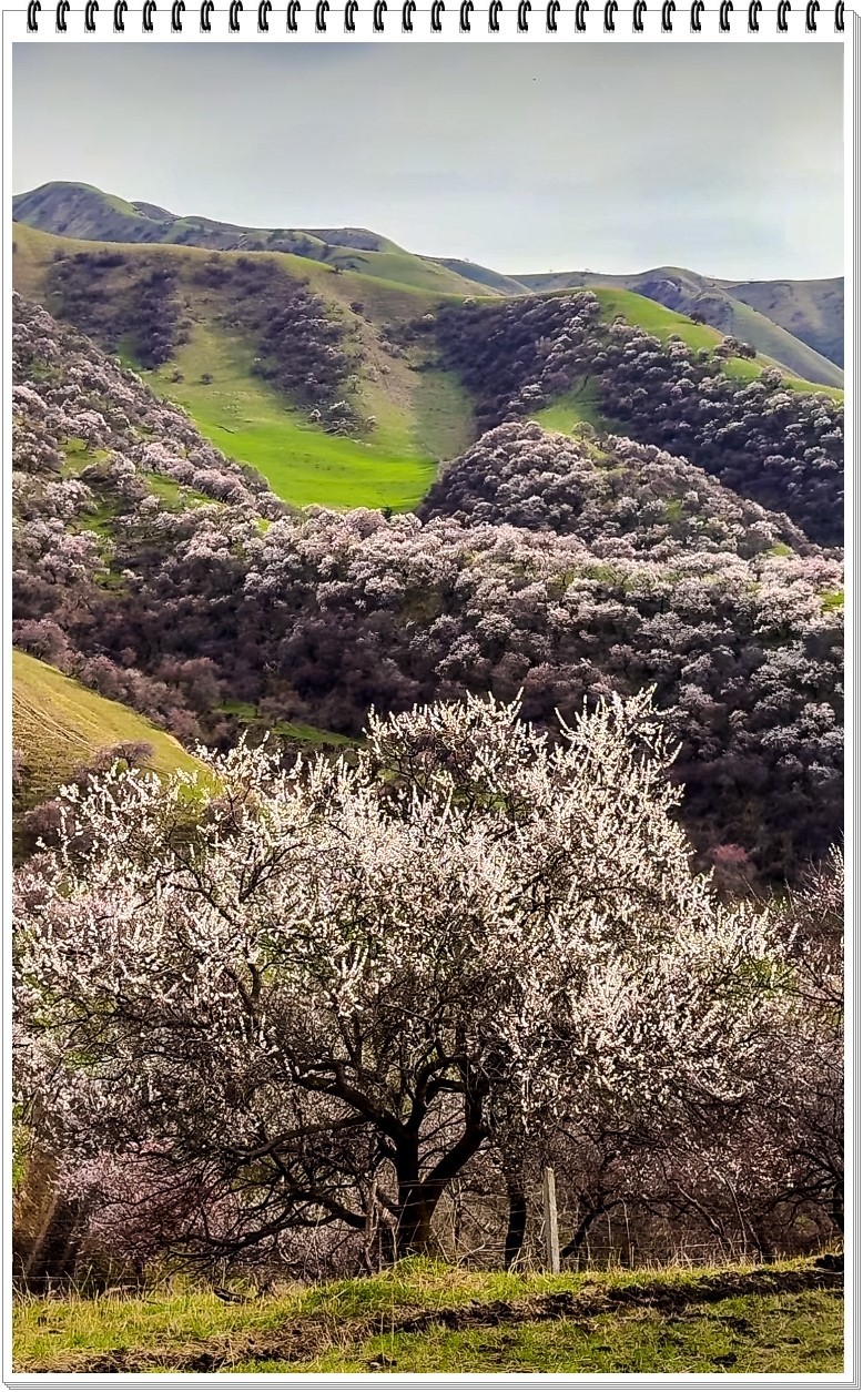 2025年- 新疆风光纪实抓拍-0317