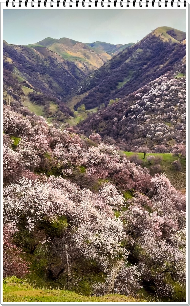 2025年- 新疆风光纪实抓拍-0317