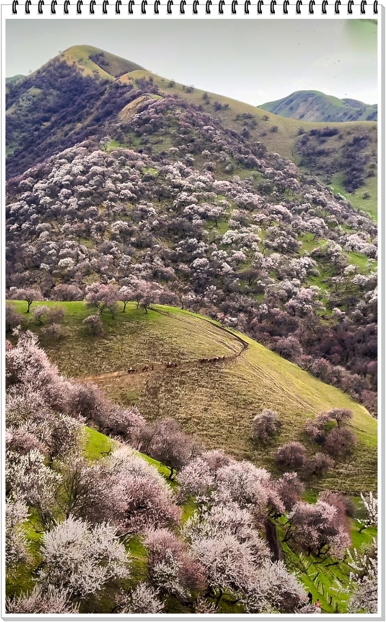 2025年- 新疆风光纪实抓拍-0317