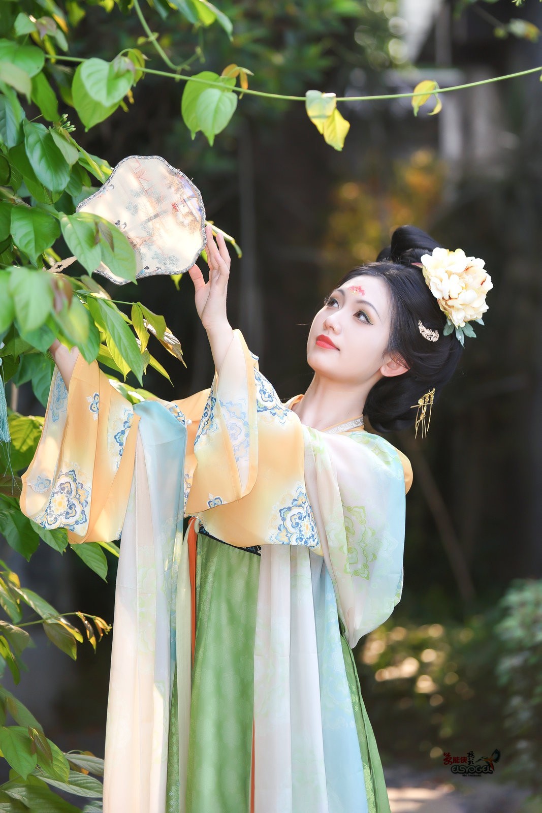 【春和景明】---小覔