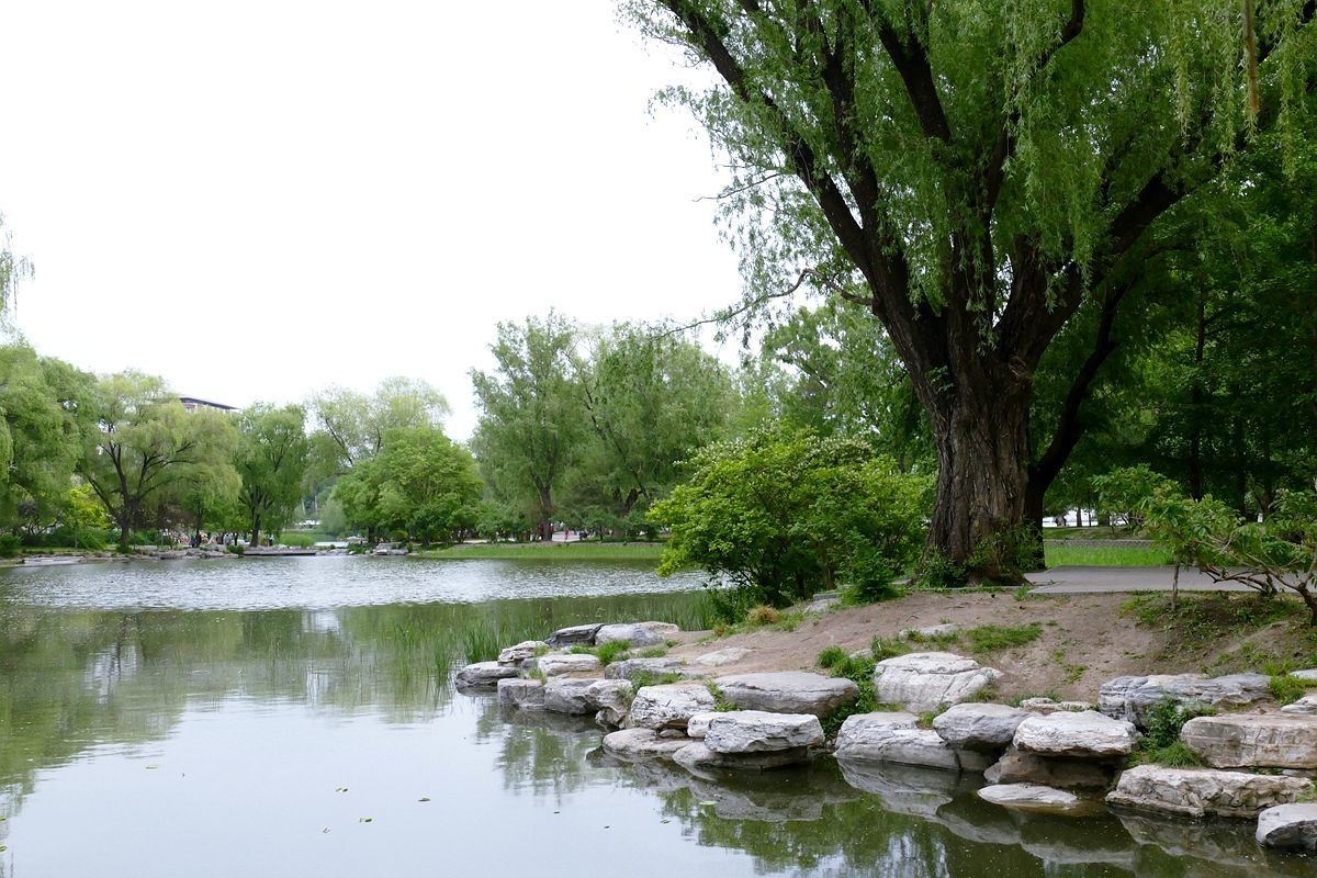 玉渊潭公园【二】