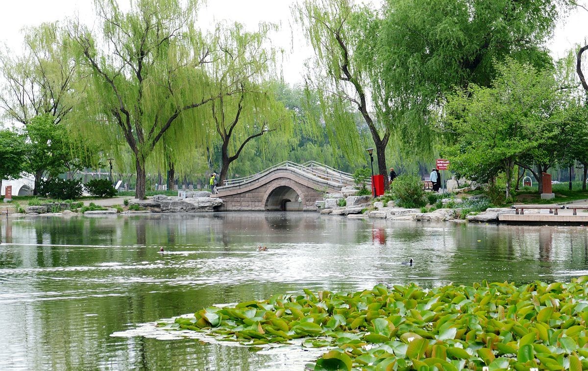 玉渊潭公园【二】