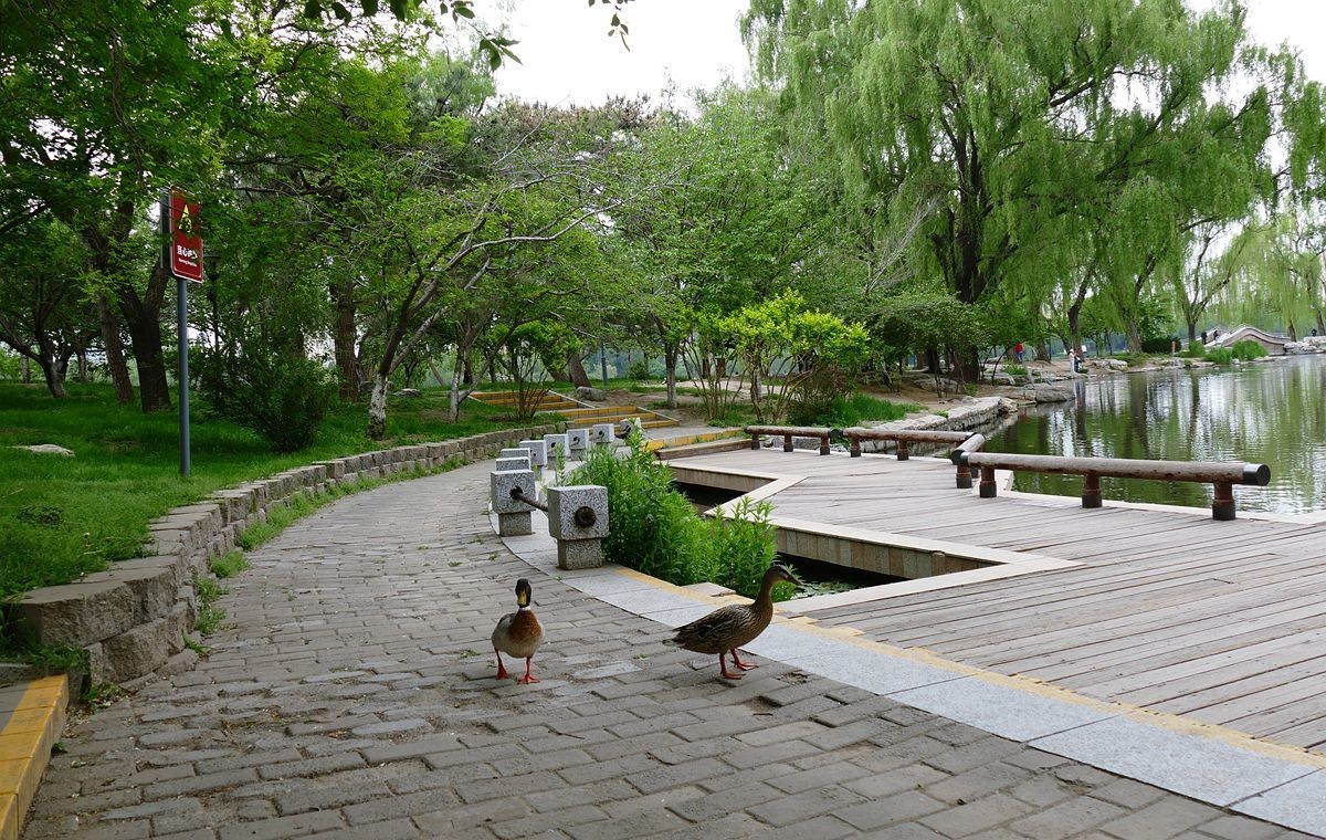 玉渊潭公园【二】