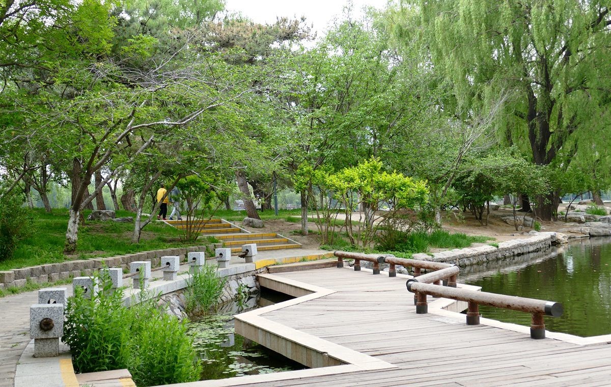 玉渊潭公园【二】