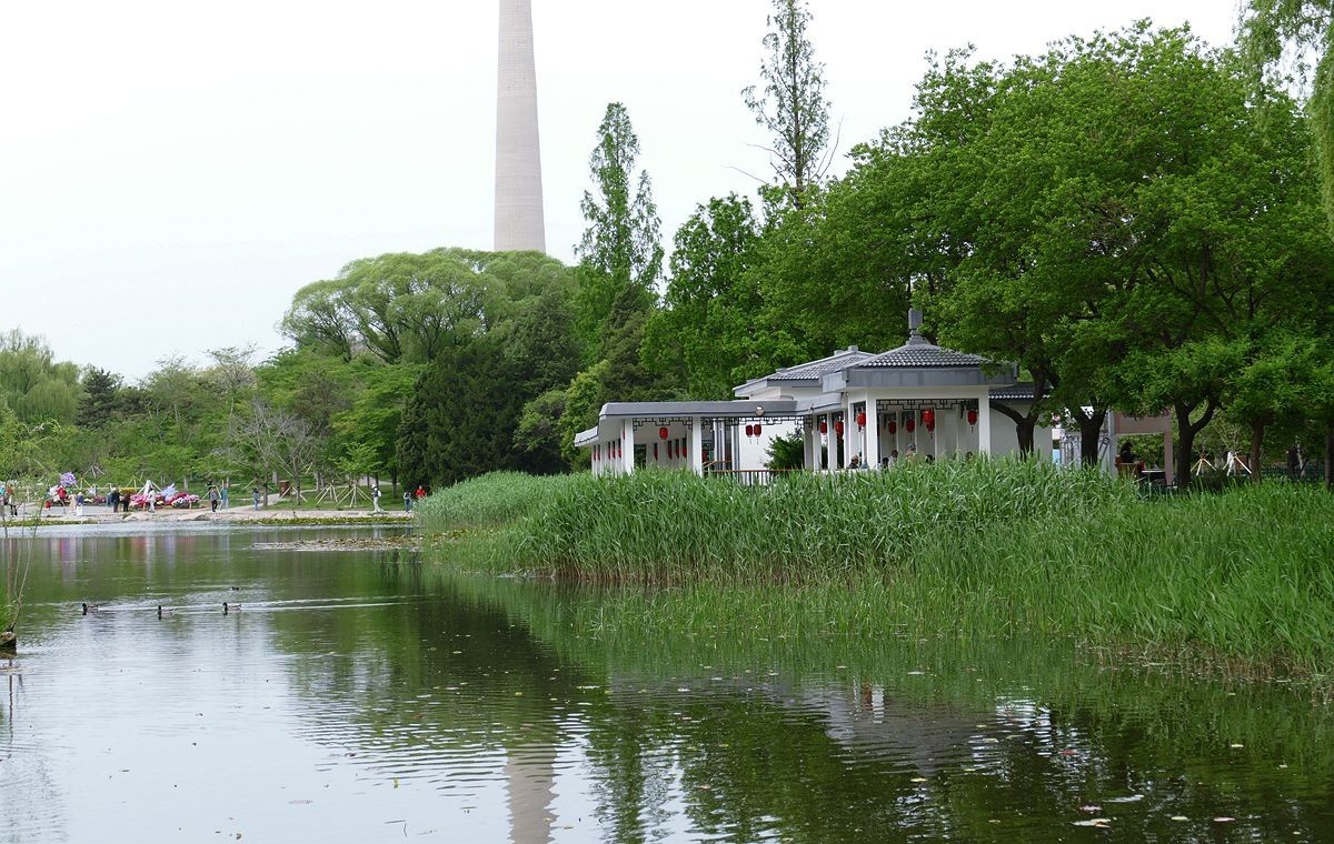 玉渊潭公园【二】