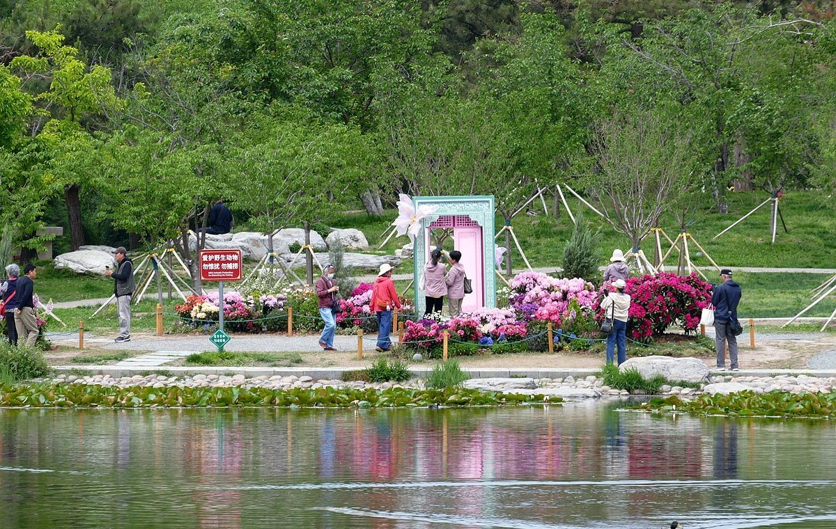 玉渊潭公园【二】