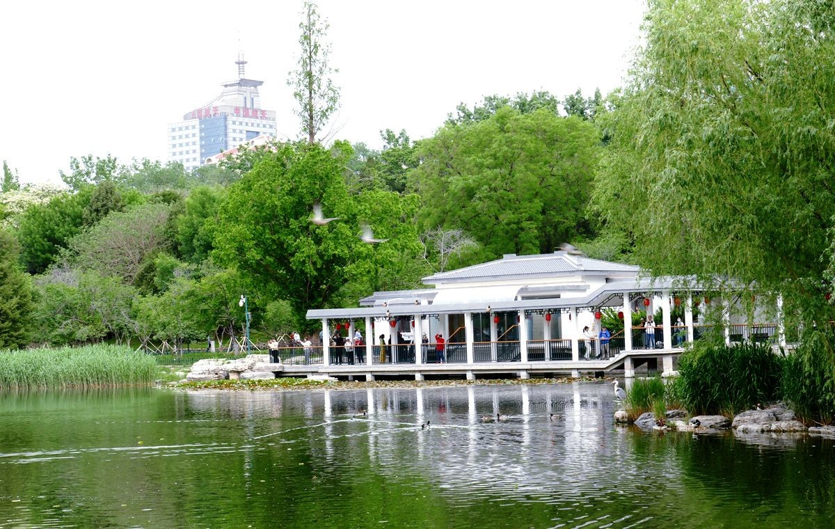 玉渊潭公园【二】