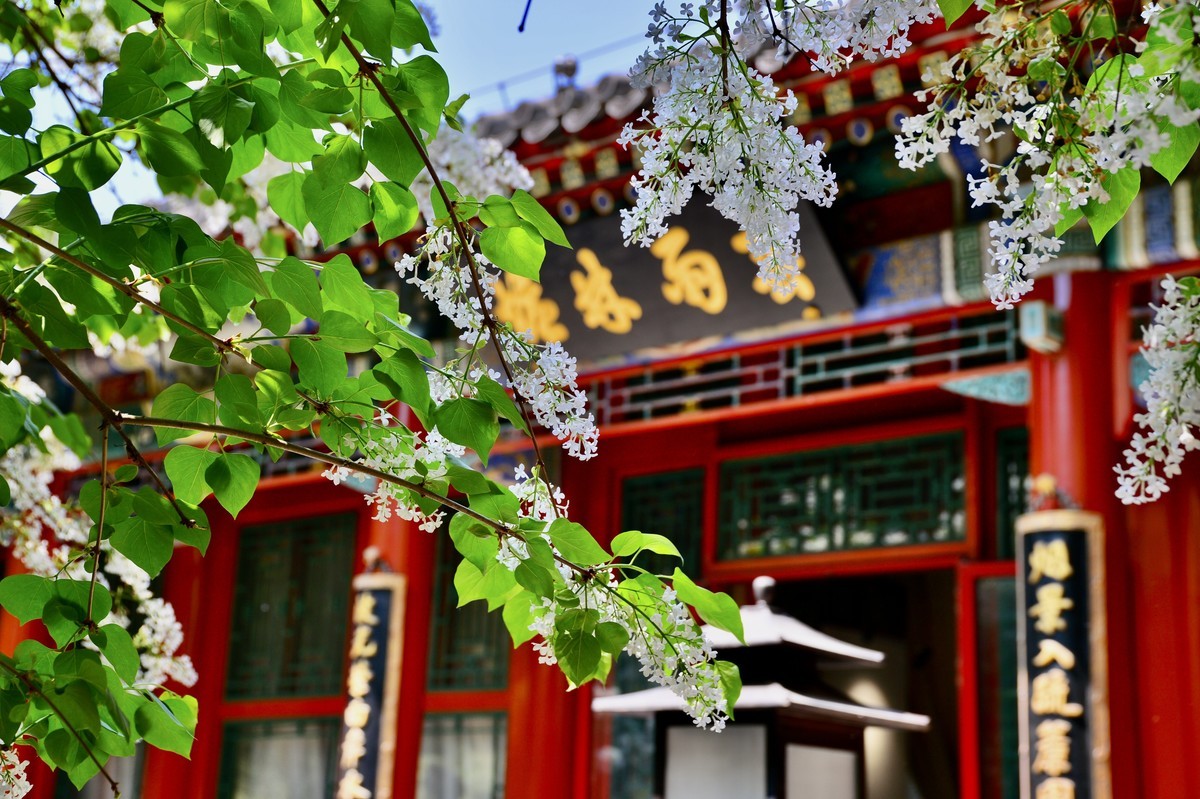 北海公园僻静之处----画舫斋、濠濮间