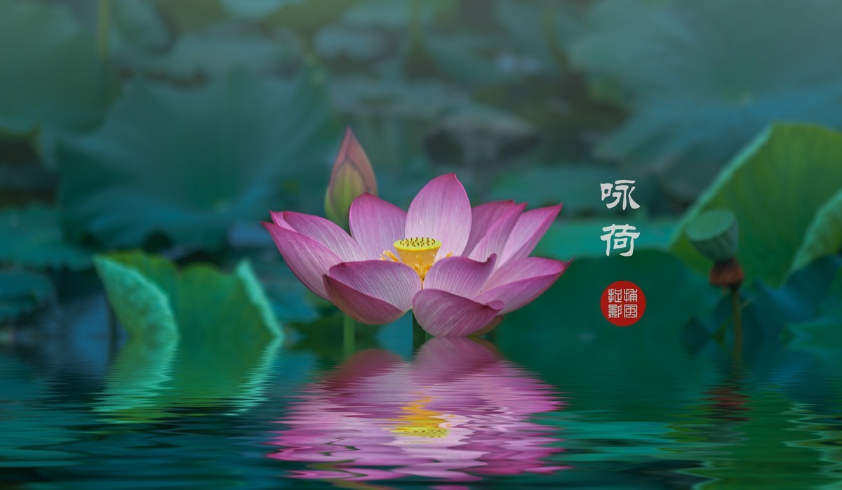 荷