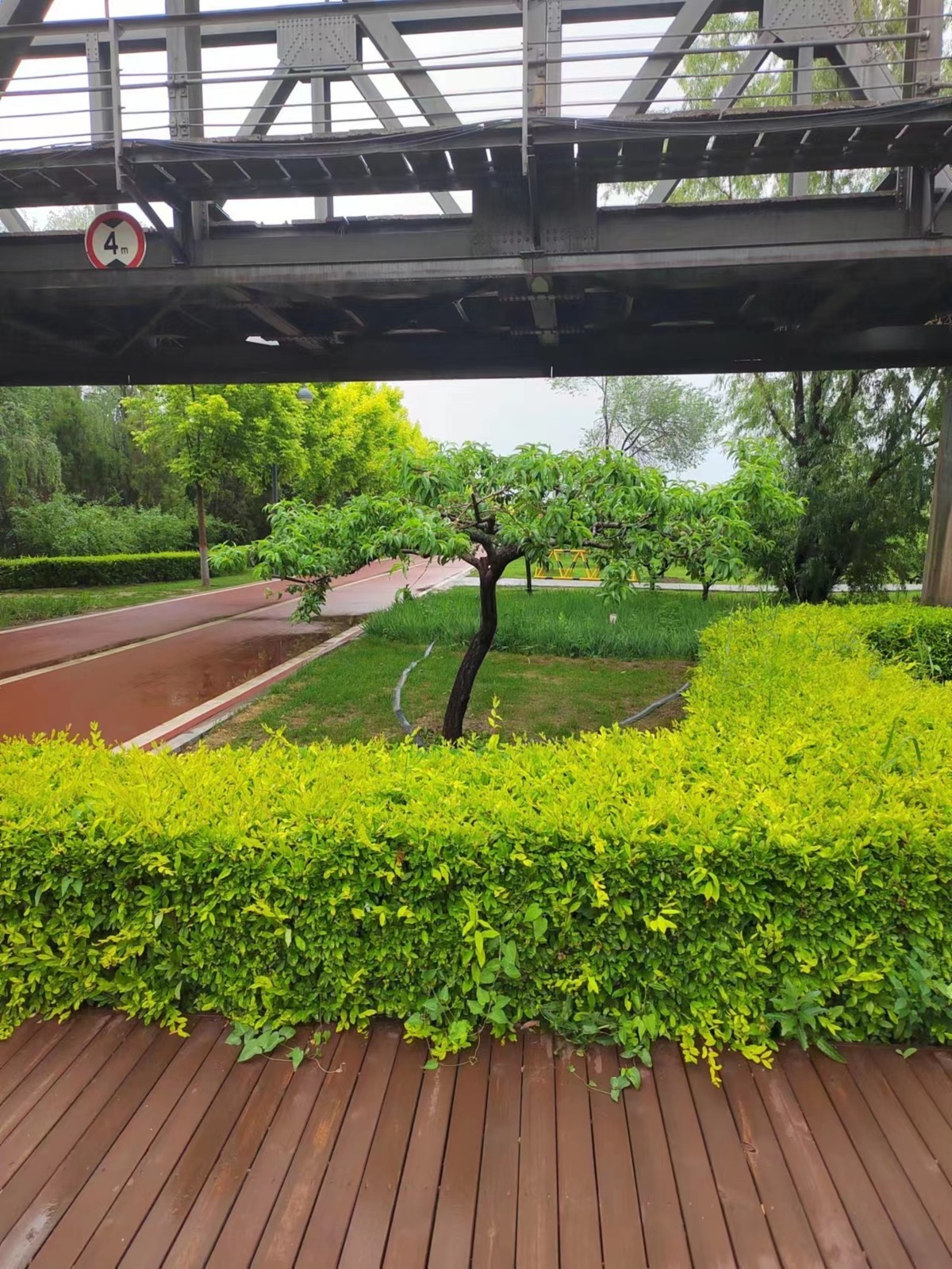 花上是蝴蝶,自行车道旁的树-中关村在线摄影论坛