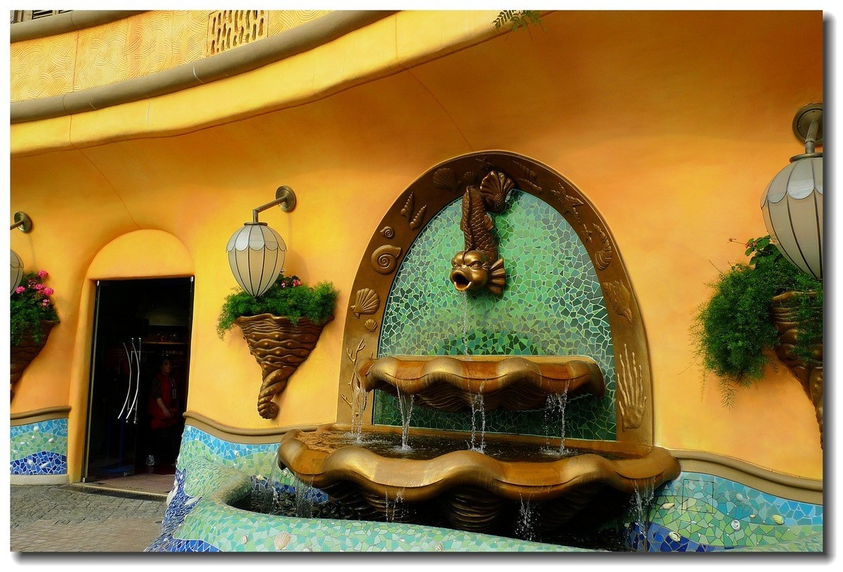 小DC陪我游香港：海洋公园（5）