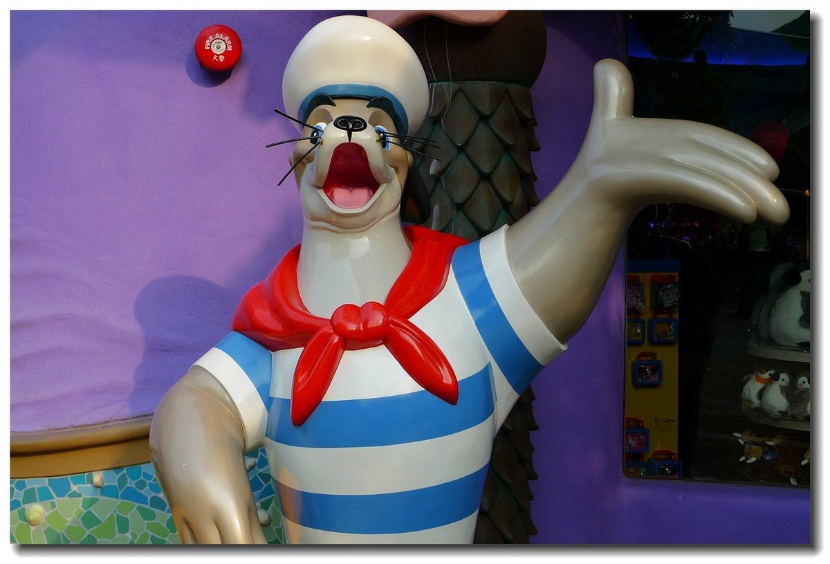 小DC陪我游香港：海洋公园（5）