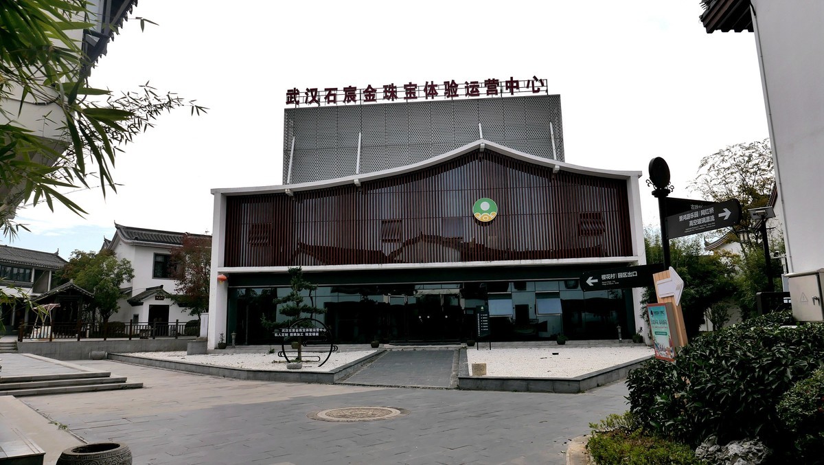 武汉映像---花博汇的别墅群景区！